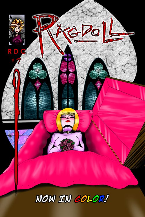 Ragdoll #7