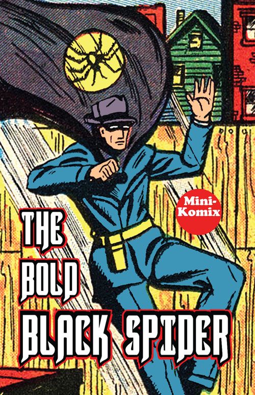 The Bold Black Spider