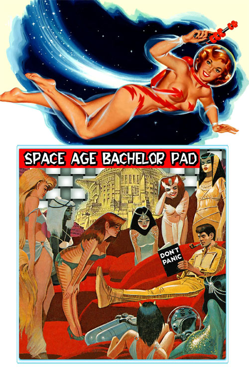 Space Age Bachelor Pad