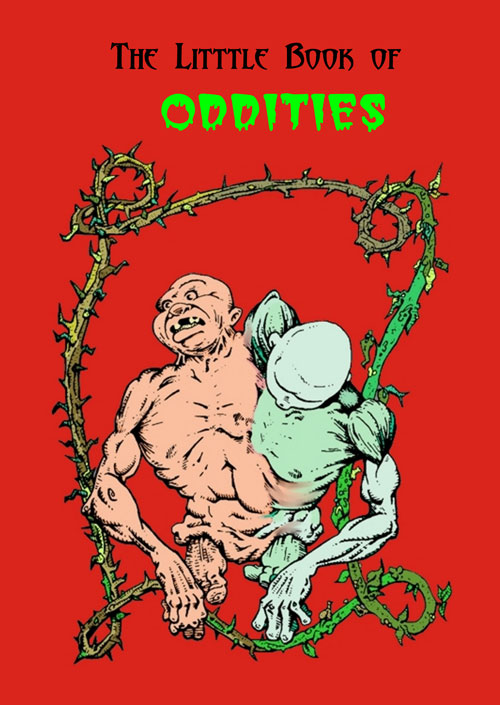 The Little Book Of Oddities